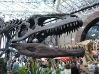 /album/galeria-de-fotos/exposi%c3%a7%c3%a3o%20dinossauros%20patagonia%20%284%29-jpg/